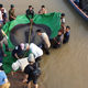 Imagen para el artículo titulado Aparece en Camboya el pez de agua dulce más grande jamás registrado